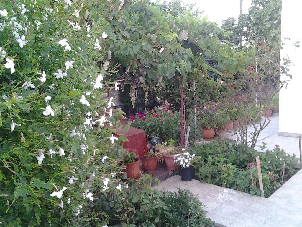 Anestoula Rooms Σκάλα Εξωτερικό φωτογραφία